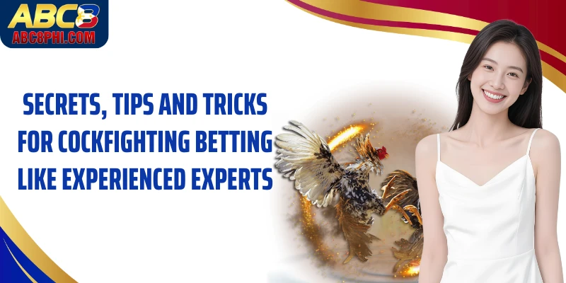 Secrets, tips and tricks for cockfighting betting like experienced experts
