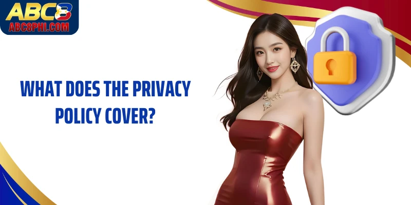What does the privacy policy cover?